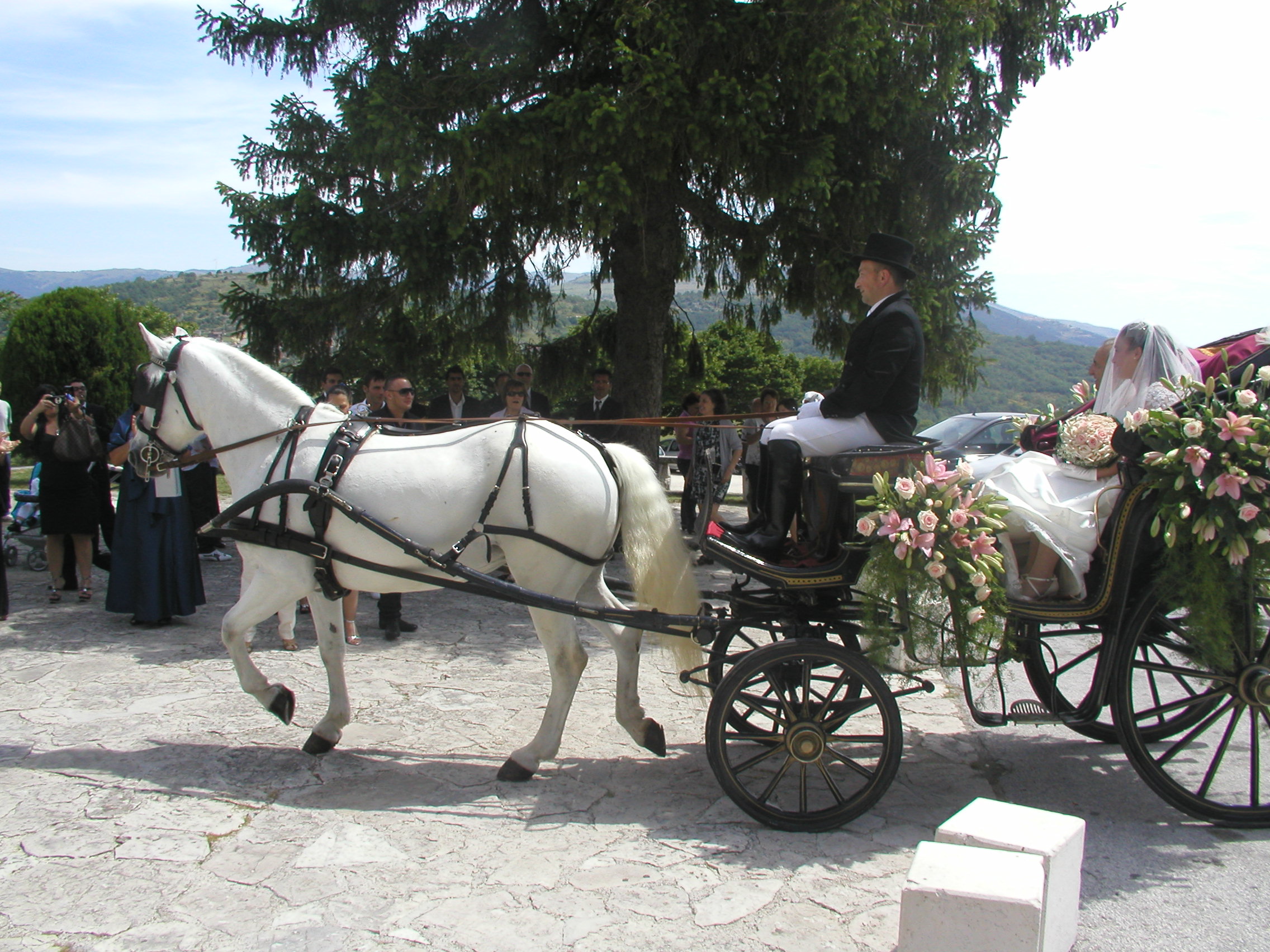 Addobbo carrozza